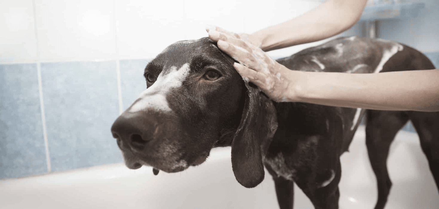 Dog Grooming Bath Hand Scrub