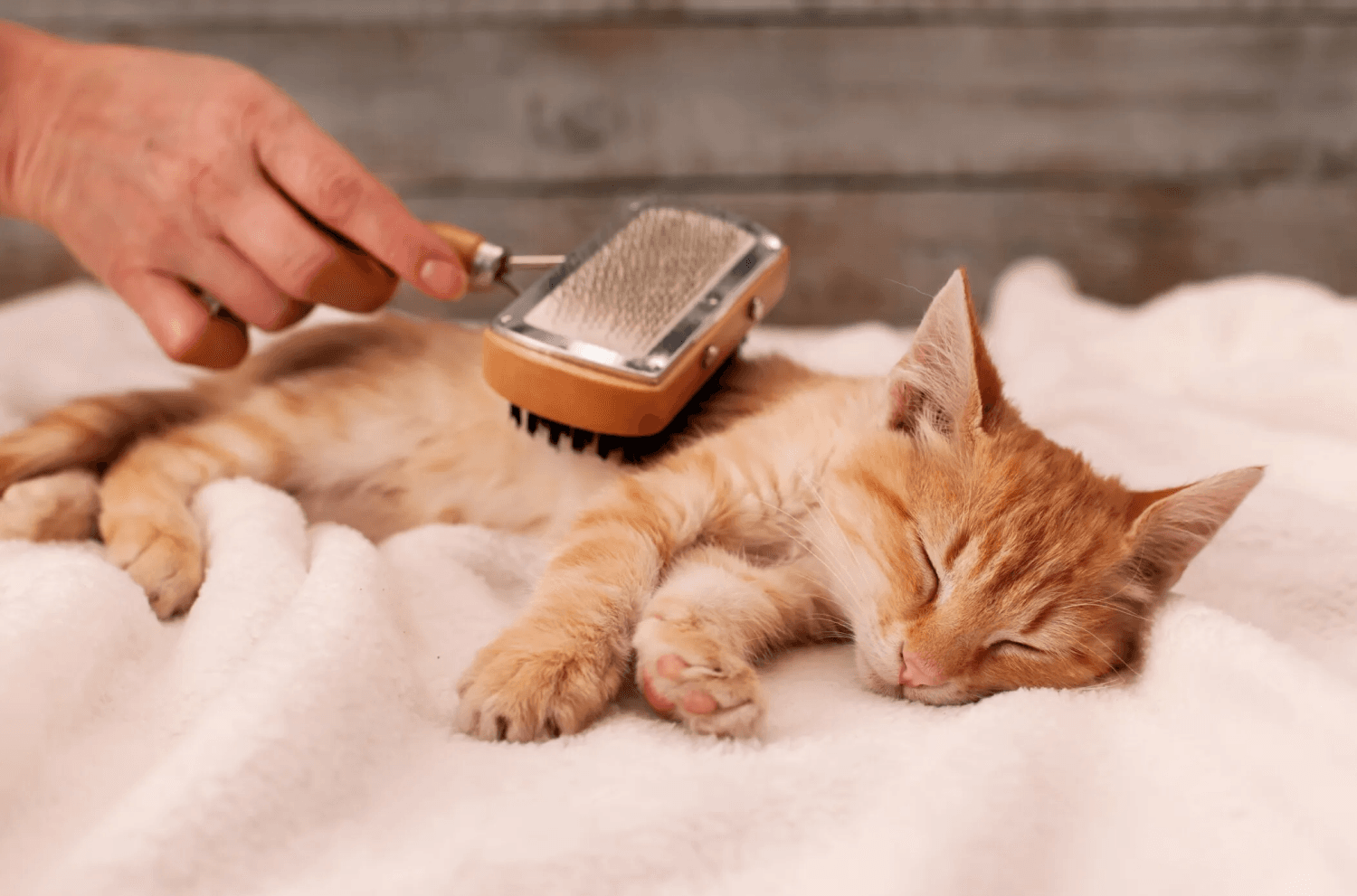 Home Cat Grooming Brush Comfortably